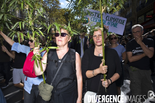 Marche pour le climat