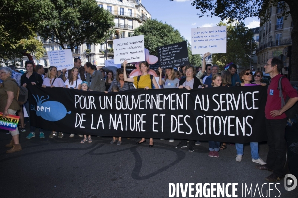 Marche pour le climat