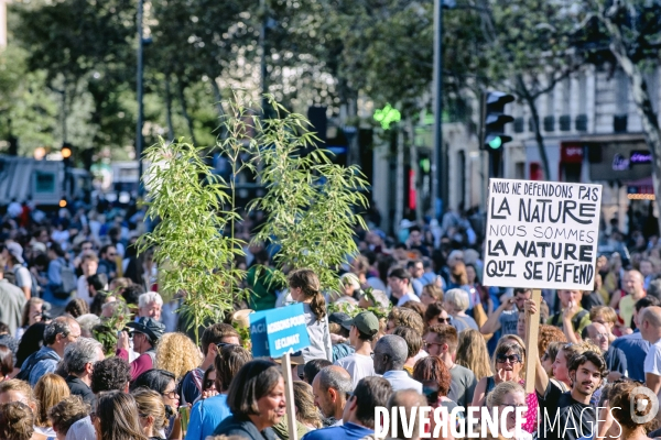 Marche pour le climat