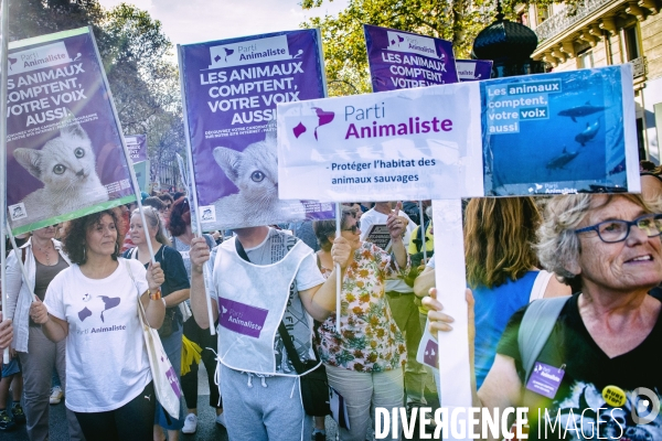 Marche pour le climat