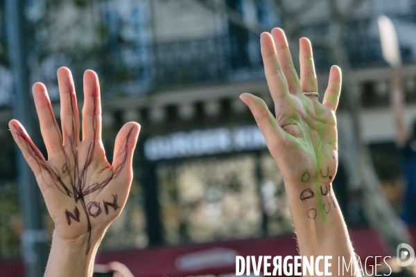 Marche pour le climat