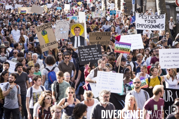Marche pour le climat à Paris.
