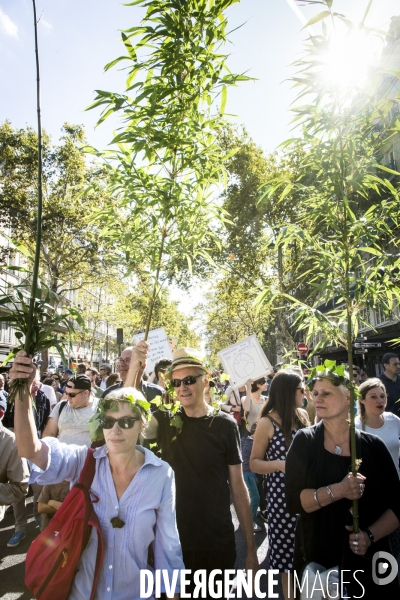 Marche pour le climat à Paris.