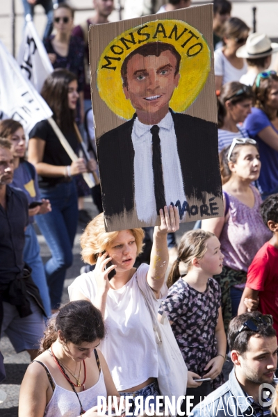 Marche pour le climat à Paris.