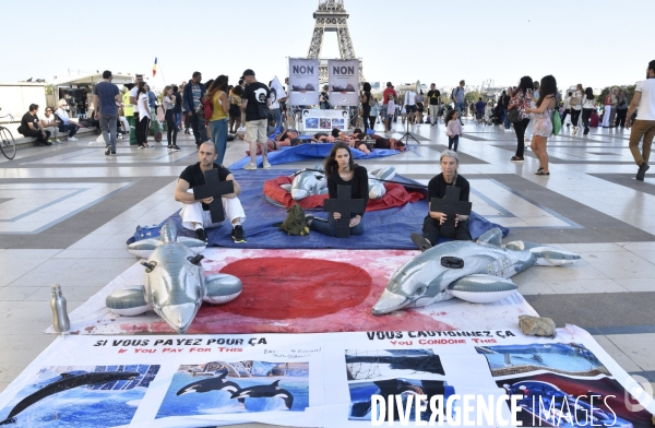 Japan Dolphins Day 2018 Paris. C est Assez