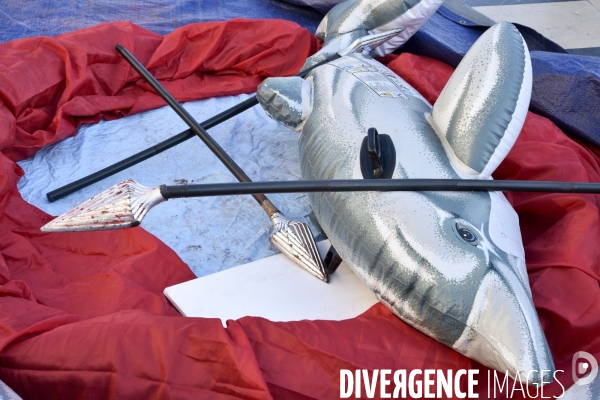 Japan Dolphins Day 2018 Paris. C est Assez