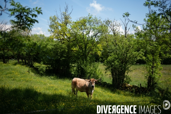 Aveyron