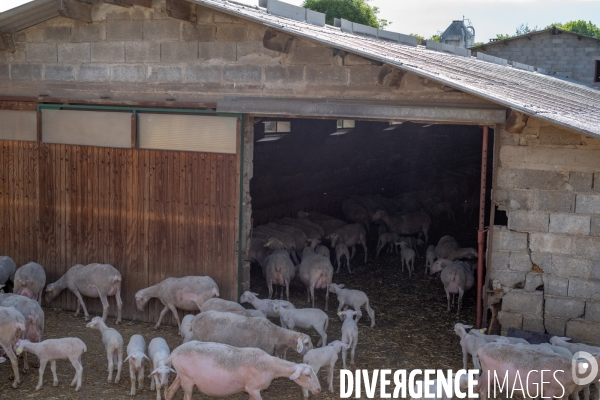 Aveyron