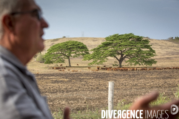 Communautés Kanak et Caldoche à Poya, Nouvelle-Calédonie