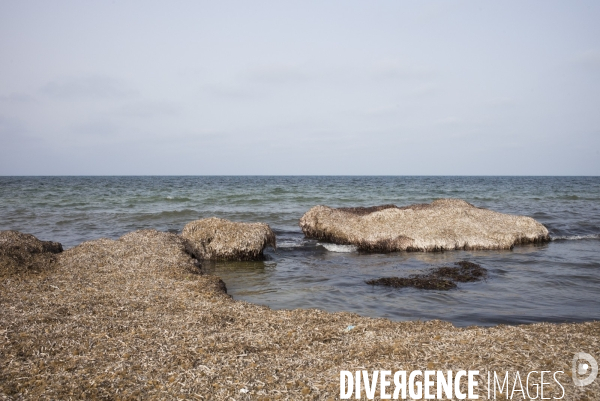 Portrait de chamesddine marzoug, le croque-mort tunisiens des migrants.