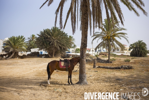 Zarzis, tunisie.