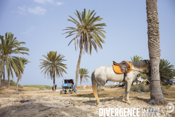 Zarzis, tunisie.