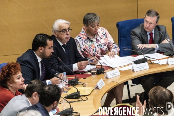 Audition d Alexandre Benalla au Sénat.