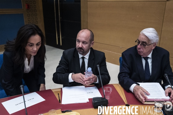 Audition d Alexandre Benalla au Sénat.