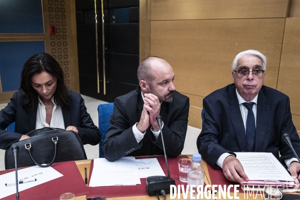 Audition d Alexandre Benalla au Sénat.