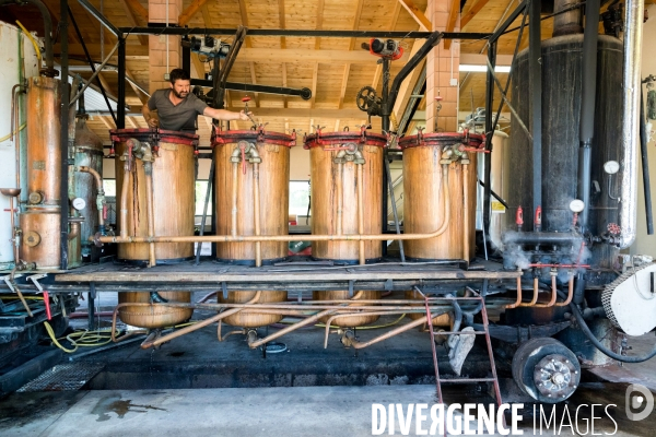 Distillerie Castan: le whisky made in France