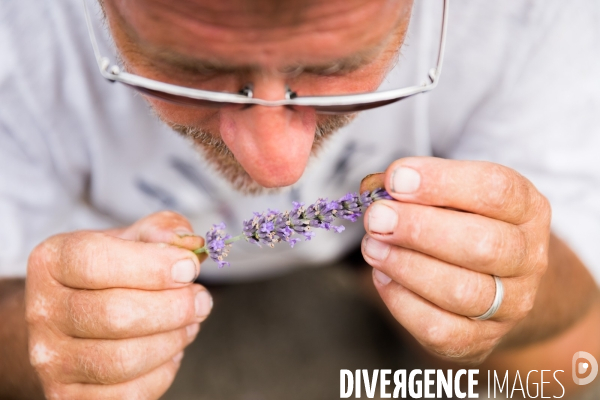 Cueillette de légumes chez un maraîcher bio