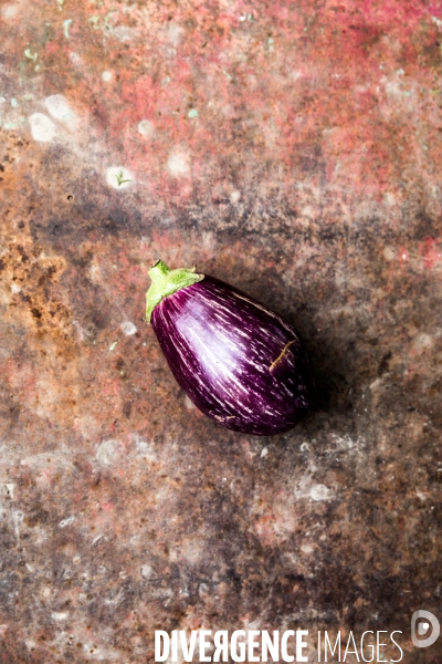 Cueillette de légumes chez un maraîcher bio