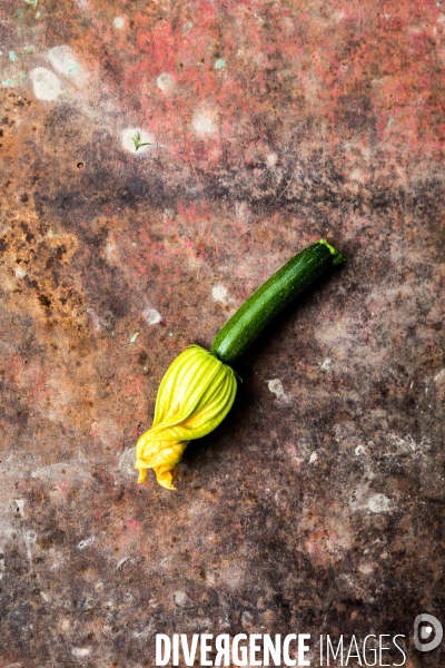 Cueillette de légumes chez un maraîcher bio