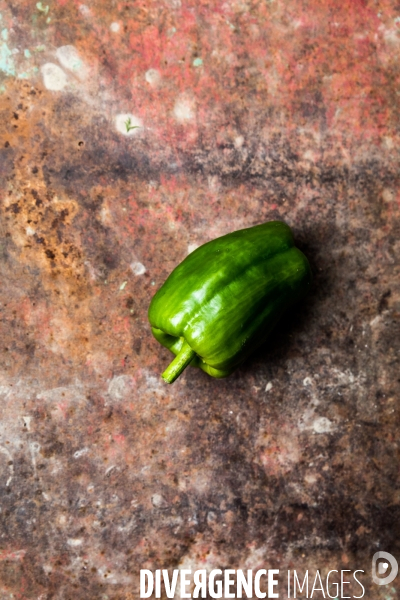 Cueillette de légumes chez un maraîcher bio