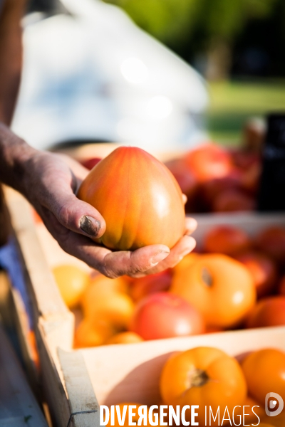 Marché de producteurs provencaux