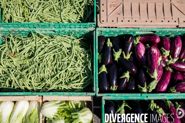 Marché de producteurs provencaux