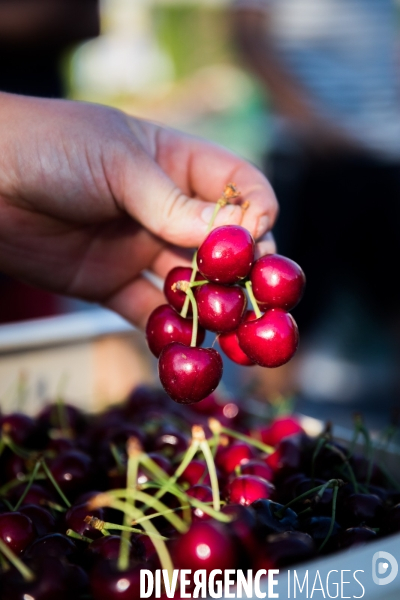 Marché de producteurs provencaux