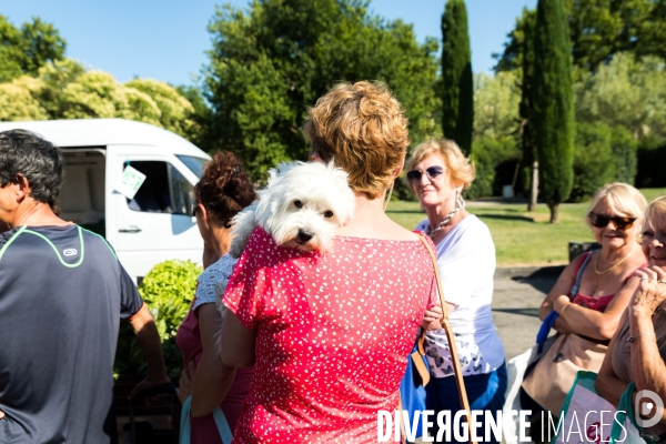 Marché de producteurs provencaux