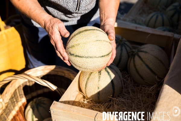 Marché de producteurs provencaux