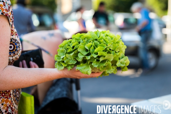 Marché de producteurs provencaux