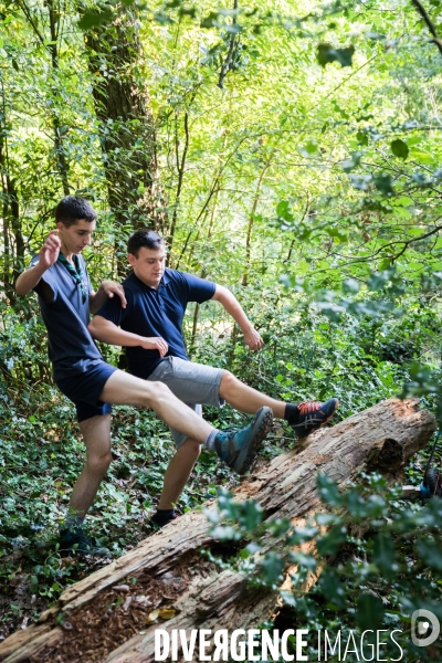 Camp scout