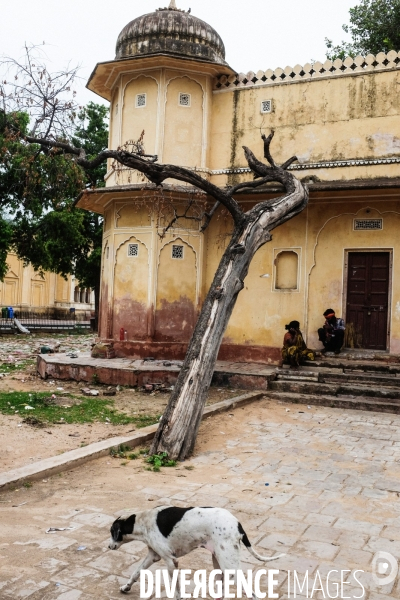 Rajasthan, India - Illustration