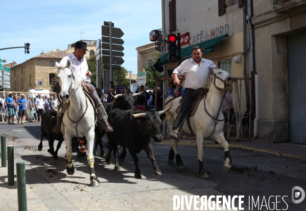 Fête votive à Rémoulins