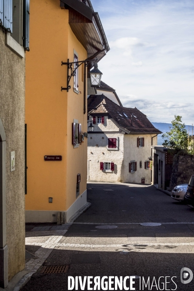 Vendanges en Lavaux. Suisse