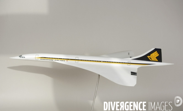 La concordemania: objets divers