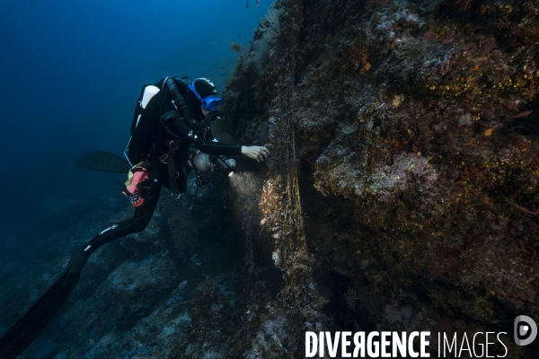 Découverte d un filet de peche abandonné - Discovery of an abandoned fishing net