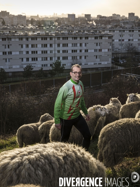 Portraits de sportifs