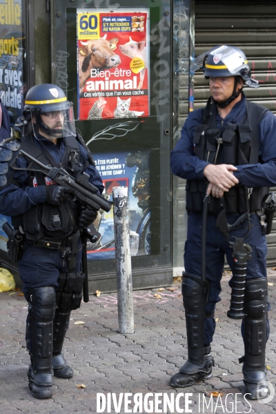 Bien être animal