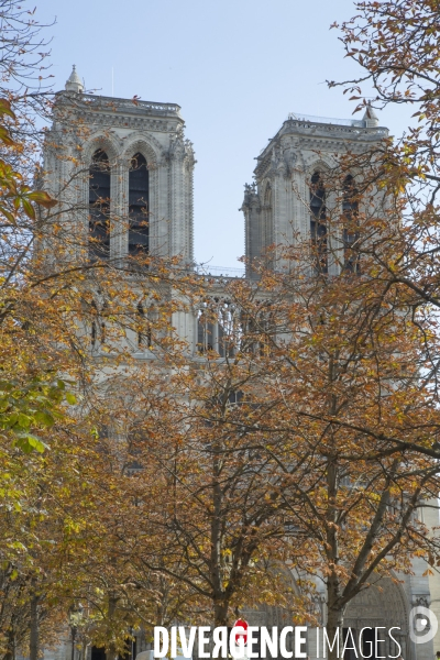 La cathedrale notre dame en automne