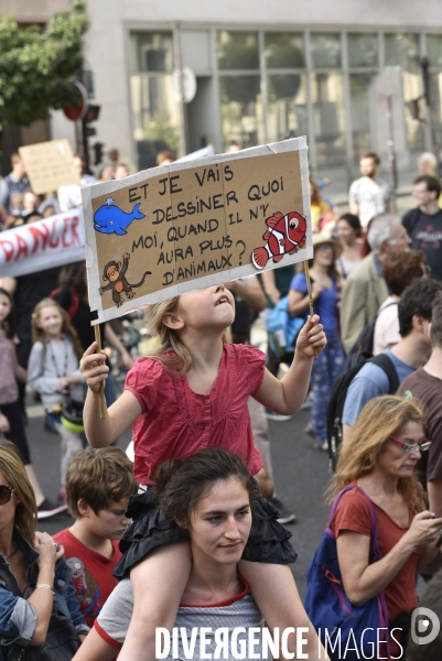 Marche pour le climat