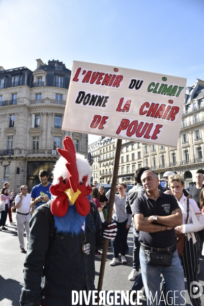 Marche pour le climat