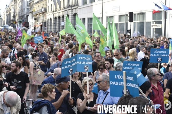 Marche pour le climat