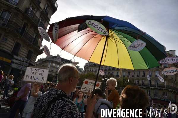 Marche pour le climat