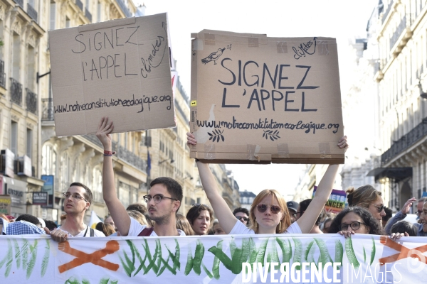 Marche pour le climat