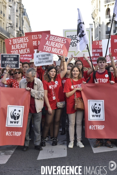 Marche pour le climat