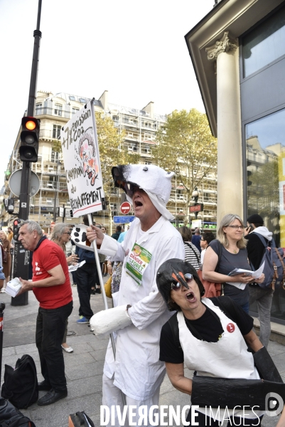 Marche pour le climat