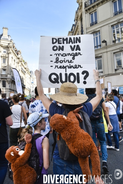 Marche pour le climat