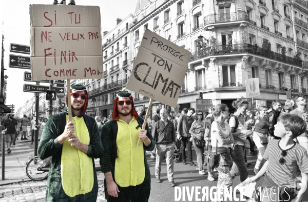 Marche pour le climat