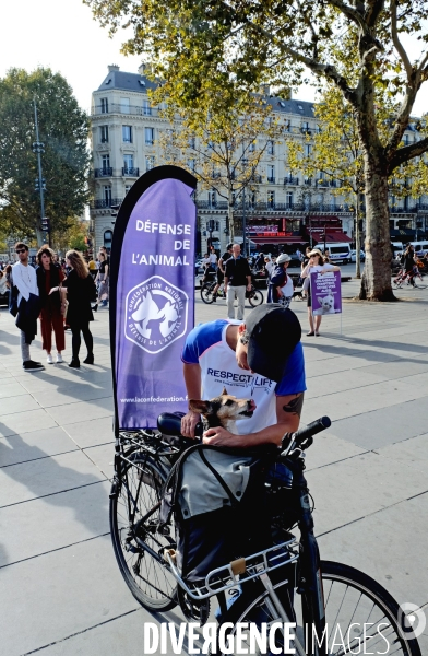 Marche citoyenne pour la planéte