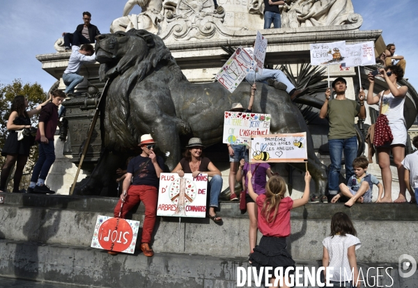 Marche pour le climat